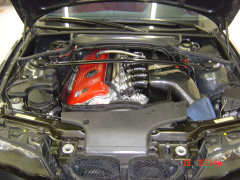 emw1003007.jpg